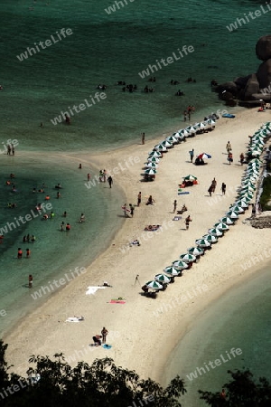 Die Strand und Insellandschaft auf der Insel Koh Naang Yuan neben der Insel Ko Tao im Golf von Thailand im Suedwesten von Thailand in Suedostasien.