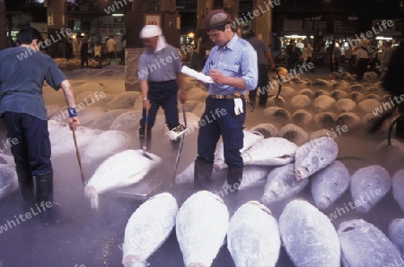 Tuna Fish at the Tsukiji Fishmarket in the City of Tokyo in Japan in Asia,