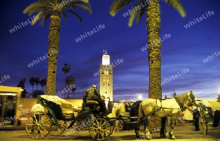 The Mosque Koutoubia in the old town of Marrakesh in Morocco in North Africa.
