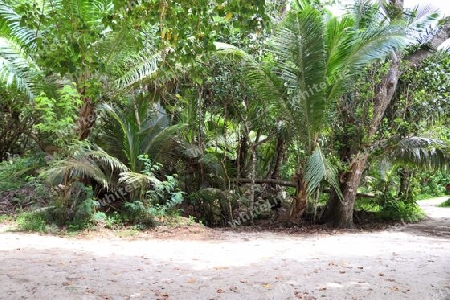 Sunny day beach view on the paradise islands Seychelles.