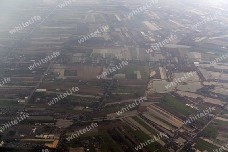 Die Landwirtschaft am rande der Stadt Bangkok in Thailand in Suedostasien.