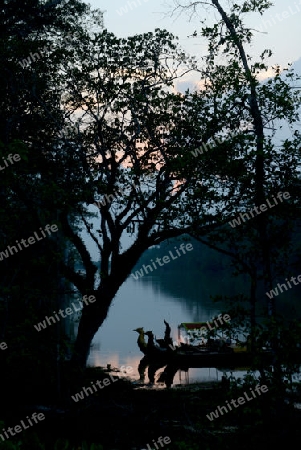 The River at the Bridge of Angkor Thom in the Temple City of Angkor near the City of Siem Riep in the west of Cambodia.