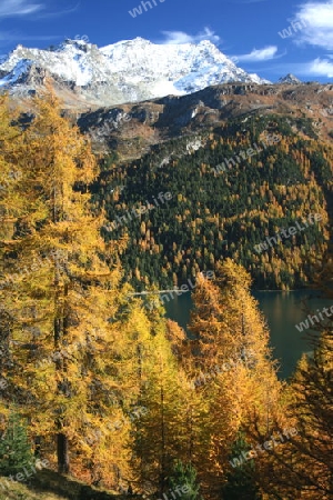 Piz Corvatsch