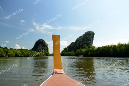 The mangroves at a lagoon near the City of Krabi on the Andaman Sea in the south of Thailand. 