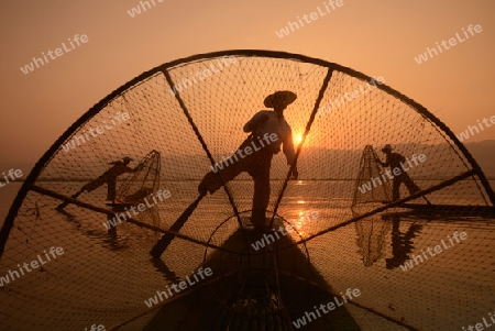 Fishermen at sunrise in the Landscape on the Inle Lake in the Shan State in the east of Myanmar in Southeastasia.