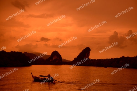 The mangroves at a lagoon near the City of Krabi on the Andaman Sea in the south of Thailand. 