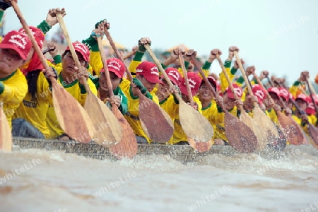 Ruderinnen beim traditionellen Bootsrennen auf dem Mekong River in Vientiane der Hauptstadt von Laos in Suedostasien.  