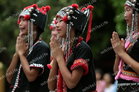 Traditionelle Taenzerinnen tanzen beim Wat Phra That Doi Suthep Tempel in Chiang Mai im Norden von Thailand