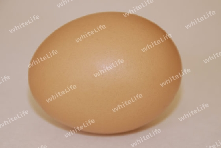 Egg