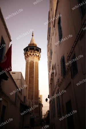 Afrika, Nordafrika, Tunesien, Tunis
Eine Moschee in der Medina oder  Altstadt der Tunesischen Hauptstadt Tunis. 






