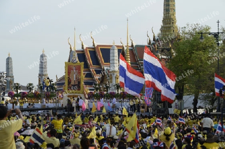 Tausende von Thailaender zelebrieren den Kroenungstag des Koenig Bhumibol auf dem Sanam Luang Park vor dem Wat Phra Kaew in der Stadt Bangkok in Thailand in Suedostasien.  