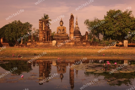 Der Wat Mahathat Tempel in der Tempelanlage von Alt-Sukhothai in der Provinz Sukhothai im Norden von Thailand in Suedostasien.