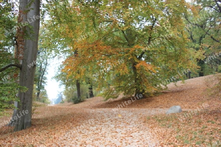 Park Babelsberg