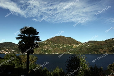 the Landscape near the  Fishingvillage of Orta on the Lake Orta in the Lombardia  in north Italy. 