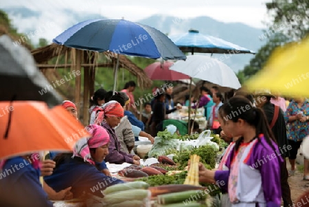 Der Wochenmarkt beim Dof Chiang Dao noerdlich von Chiang Mai im Norden von Thailand.