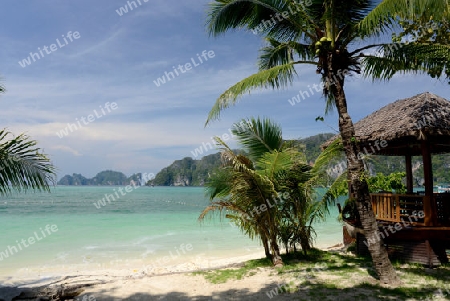 A Beach on the Island of Ko PhiPhi on Ko Phi Phi Island outside of the City of Krabi on the Andaman Sea in the south of Thailand. 