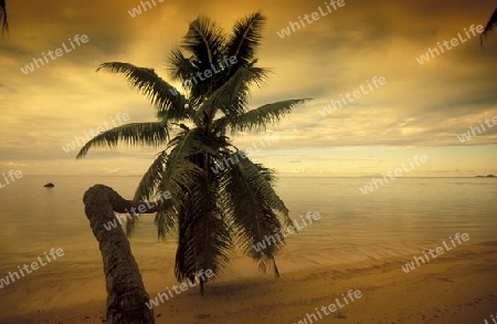 Die Landschaft auf der Insel Mahe auf den Seychellen im Indischen Ozean.