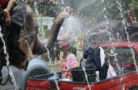 Das Songkran Fest oder Wasserfest zum Thailaendischen Neujahr ist im vollem Gange in Ayutthaya noerdlich von Bangkok in Thailand in Suedostasien.  