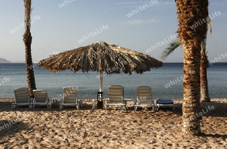 the coast with a Beach in the city of Aqaba on the red sea in Jordan in the middle east.