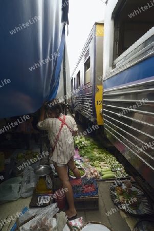 the Maeklong Railway Markt at the Maeklong railway station  near the city of Bangkok in Thailand in Suedostasien.