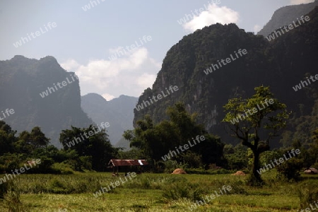 Die Landschaft bei Vang Vieng in der Bergregion der Nationalstrasse 13 zwischen Vang Vieng und Luang Prabang in Zentrallaos von Laos in Suedostasien.
