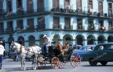 old cars in the old townl of the city of Havana on Cuba in the caribbean sea.