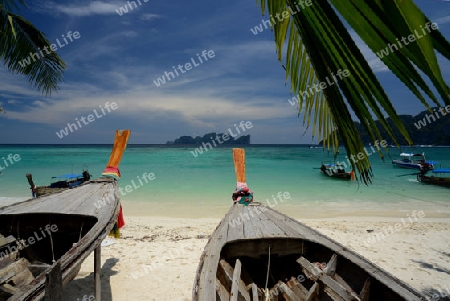 A Beach on the Island of Ko PhiPhi on Ko Phi Phi Island outside of the City of Krabi on the Andaman Sea in the south of Thailand. 