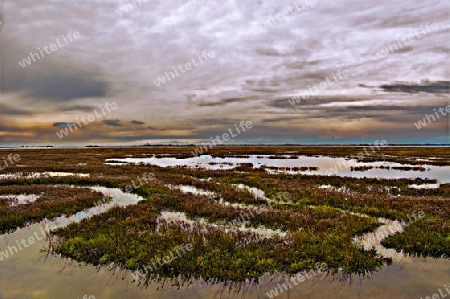 Lagunenlandschaft bei Venedig