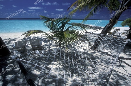 
Der Traumstrand mit Palmen und weissem Sand an der Insel Velavaru im Southmale Atoll auf den Inseln der Malediven im Indischen Ozean.   