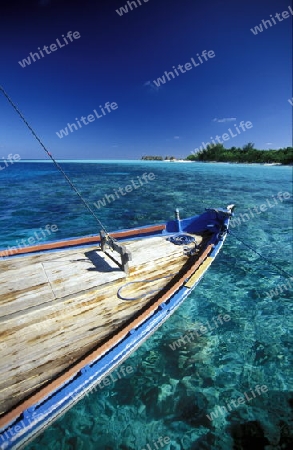 
Auf einem Dhoni Segelschiff  in der Inselwelt  im Northmale  Atoll auf den Inseln der Malediven im Indischen Ozean.   