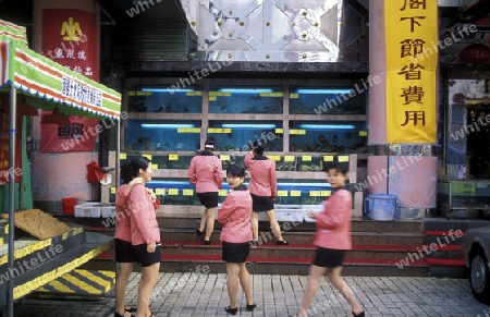 a seafood restaurant in the city of Shenzhen north of Hongkong in the province of Guangdong in china in east asia. 