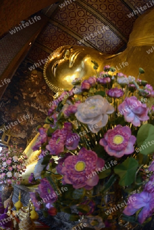 Der Grosse liegende Buddha im Wat Pho Tempel in der Stadt Bangkok in Thailand in Suedostasien.