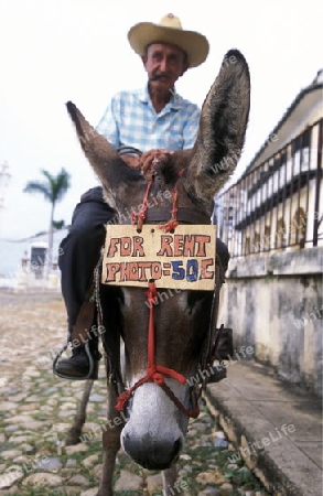 a taxi horse for rent in the old Town of the Village of trinidad on Cuba in the caribbean sea.