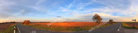 Beautiful high resolution panorama of a northern european country landscape with fields and green grass.