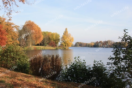 Herbst am Heiligen See