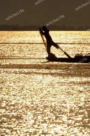 Fishermen at sunset in the Landscape on the Inle Lake in the Shan State in the east of Myanmar in Southeastasia.