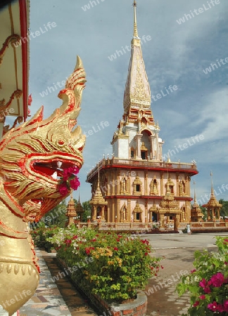 wat chalong