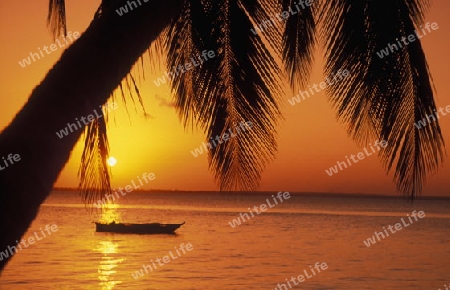 Der Traumstrand  von Michamvi am Chwaka Bay an der Ost-Kueste auf der Insel Zanzibar welche zu Tansania gehoert.         