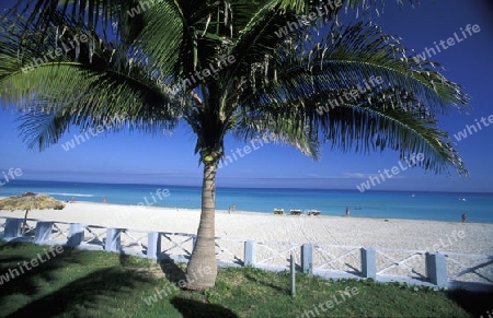 a beach on the coast of Varadero on Cuba in the caribbean sea.