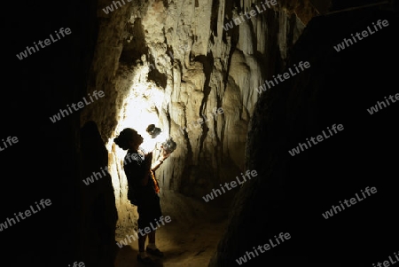 Die Hoehle Cave Pangmapha in der Bergregion von Soppong im norden von Thailand in Suedostasien.