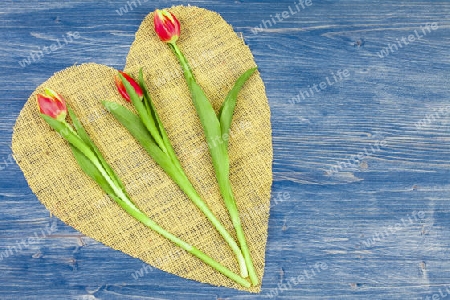 Blumen zum Valentinstag