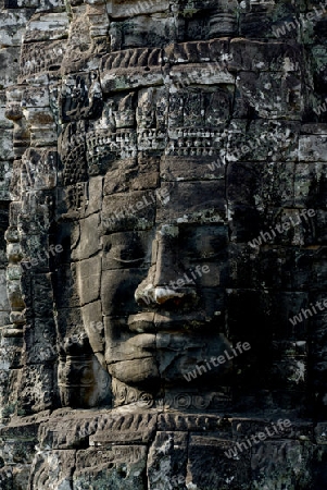 Stone Faces the Tempel Ruin of Angkor Thom in the Temple City of Angkor near the City of Siem Riep in the west of Cambodia.