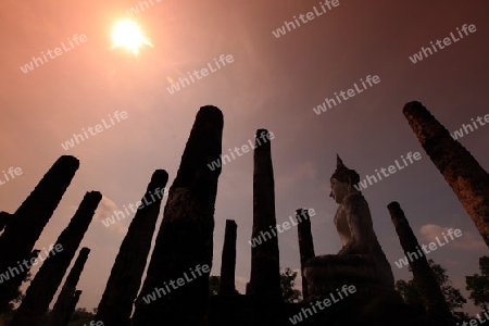 Eine Buddha Figur  im Wat Mahathat Tempel in der Tempelanlage von Alt-Sukhothai in der Provinz Sukhothai im Norden von Thailand in Suedostasien.