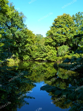 Ein netter kleiner Teich im Sonnenlicht - Ein netter kleiner Teich im Sonnenlicht