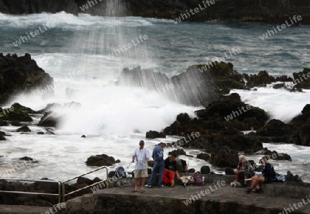 The coast in the village of  Puerto de la Cruz on the Island of Tenerife on the Islands of Canary Islands of Spain in the Atlantic.  