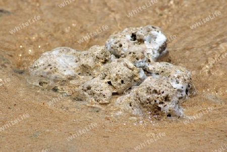 Stein am Strand