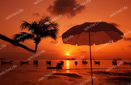 Der Strand  von Hat Sai Ri auf der Insel Ko Tao im Golf von Thailand im Suedwesten von Thailand in Suedostasien. 