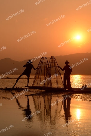 Fishermen at sunset in the Landscape on the Inle Lake in the Shan State in the east of Myanmar in Southeastasia.