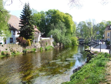 Donau in Donaueschingen