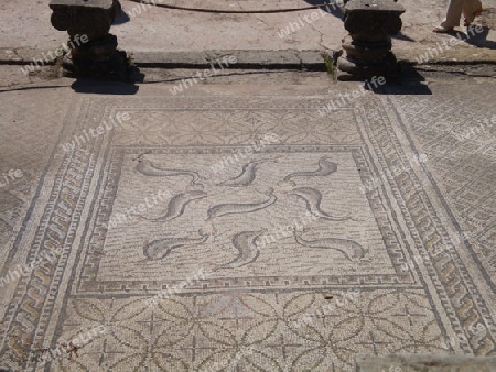 Mosaik auf dem Boden